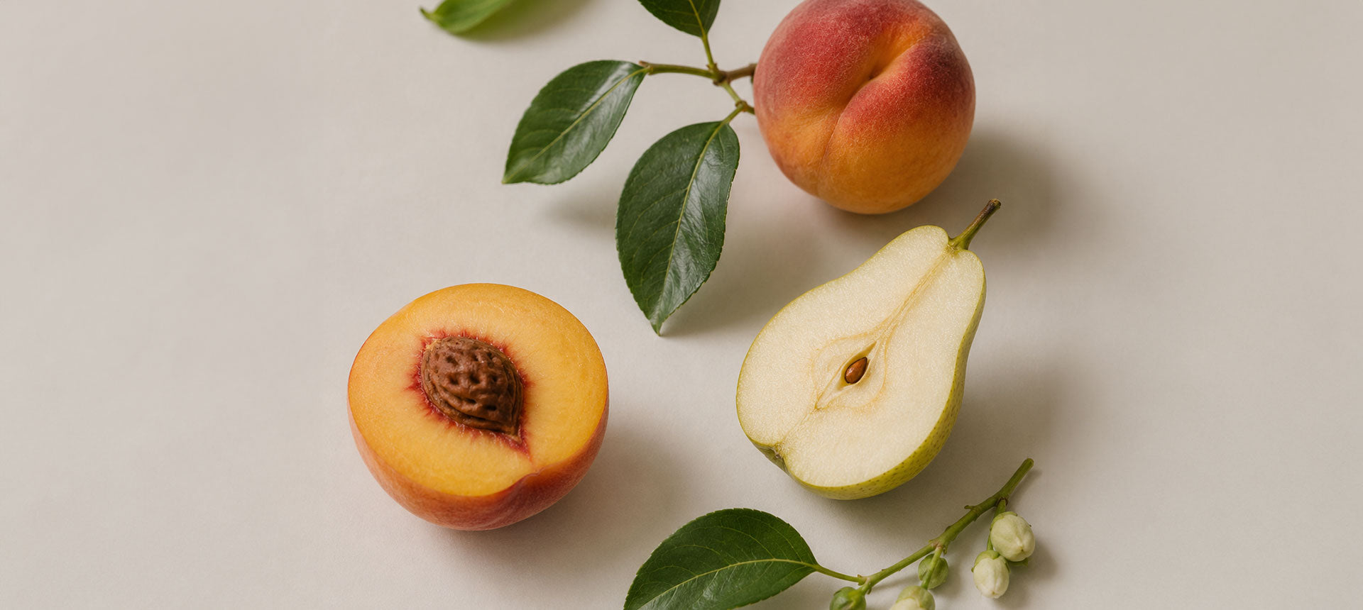 FRUTAL