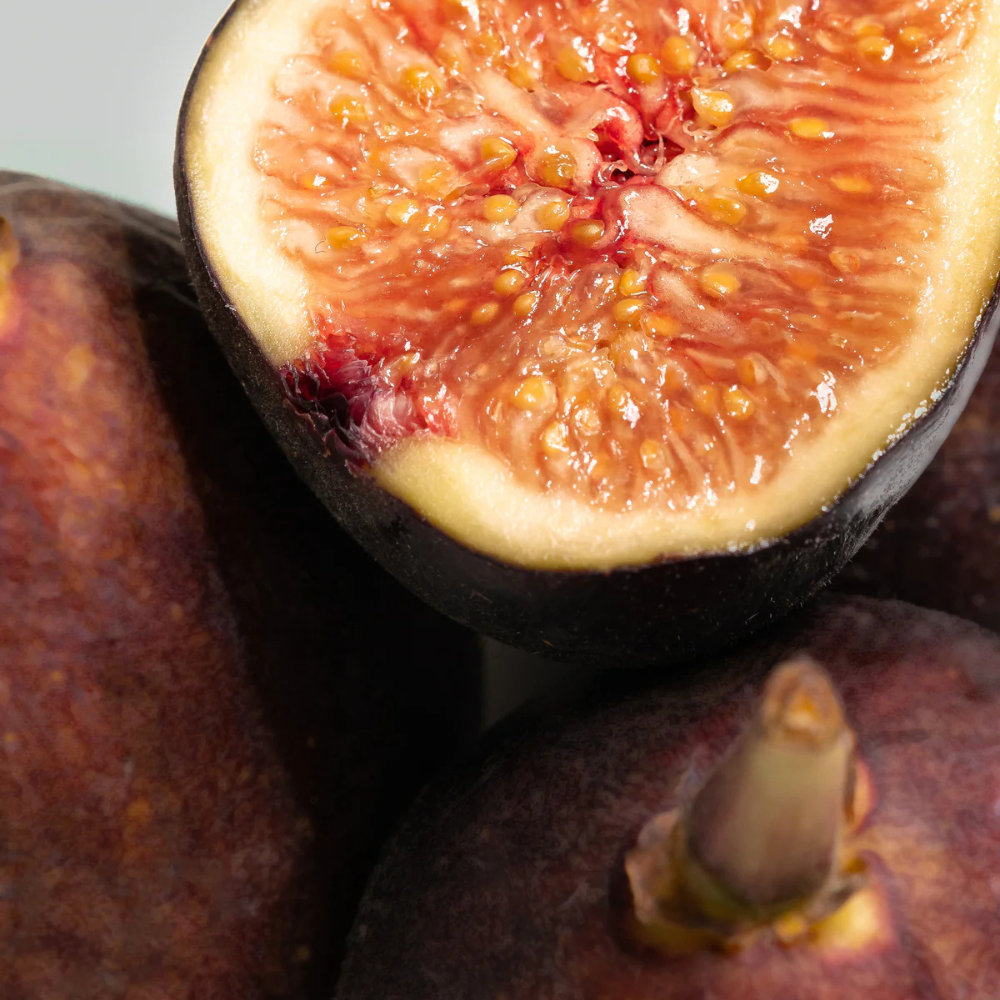 Fig Tree 59
